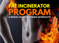 Fat Incinerator Program
